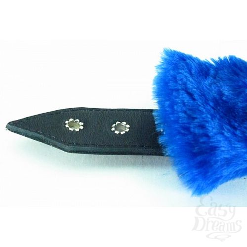  3        BDSM Light 720003ars