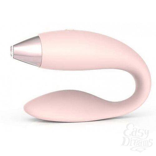  1:  -     Dolphin