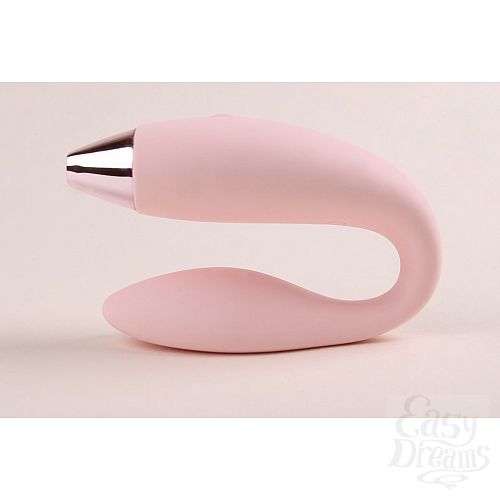  6  -     Dolphin