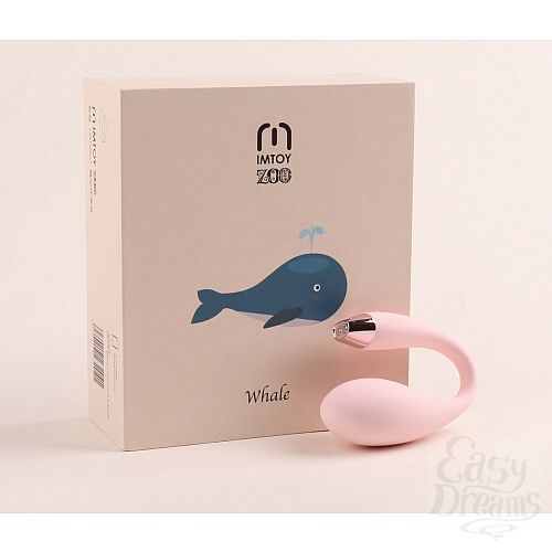  6   - -  Whale
