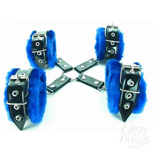  2       BDSM Light