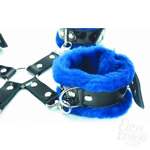  3       BDSM Light