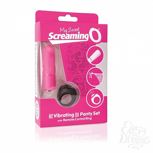  3    Remote Control Panty Vibe