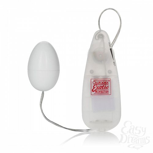  1:     Pocket Exotics Vibrating Egg