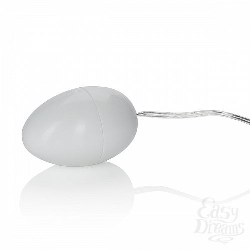  2     Pocket Exotics Vibrating Egg