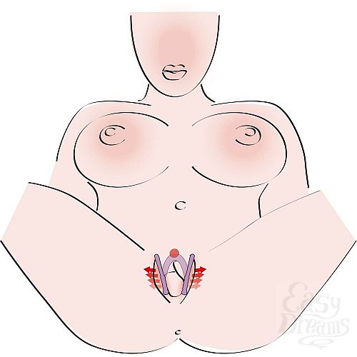  4     Intimate Spreader  G-
