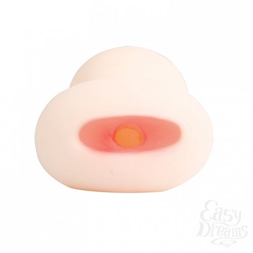  2   Tulip BM-009162