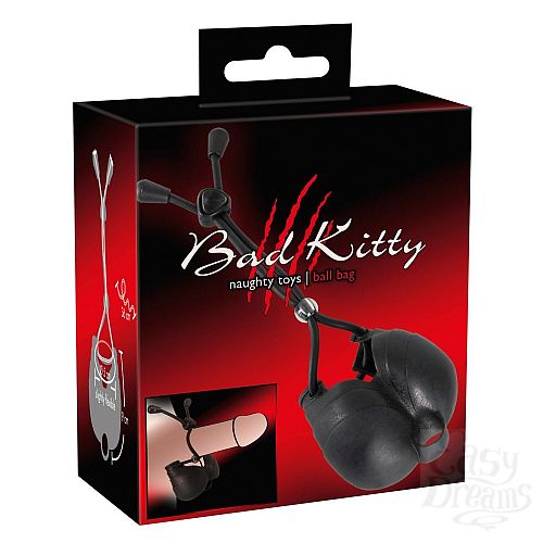  4  ׸      Bad Kitty 