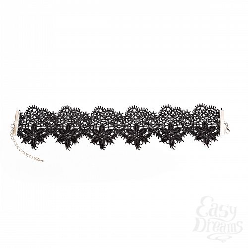  1:   - Albori - Dolce Piccante, S/M, 