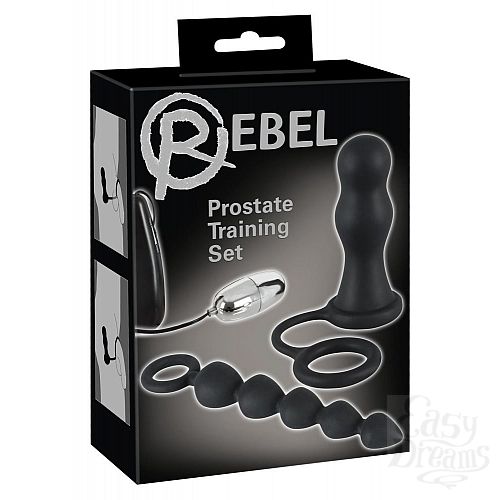 6     Rebel