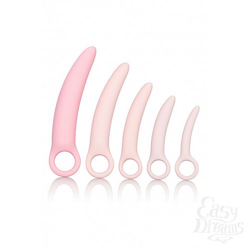  2       (5   ) INSPIRE SILI DILATOR 5 P
