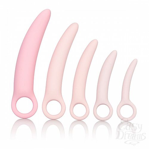  1:    5    Sili Dilator 5 P