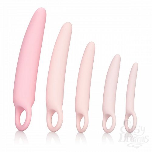  2    5    Sili Dilator 5 P
