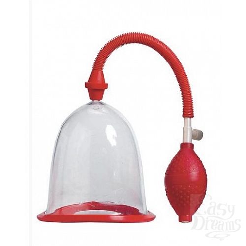  1:     Breast Pump, 