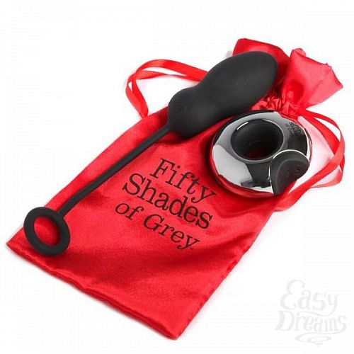  2      FSoG Relentless Vibrations Remote Control Egg 