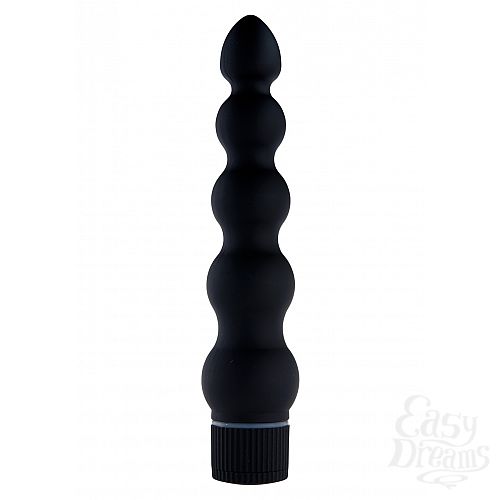  2       Anal Starter Kit 