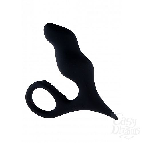 4       Anal Starter Kit 