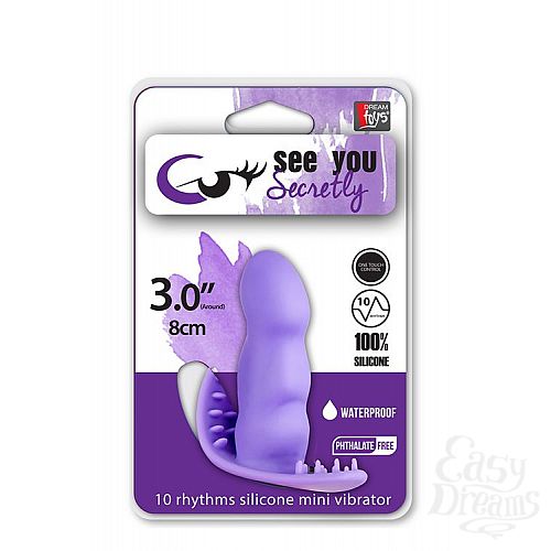  2   -    SEE YOU SECRETLY