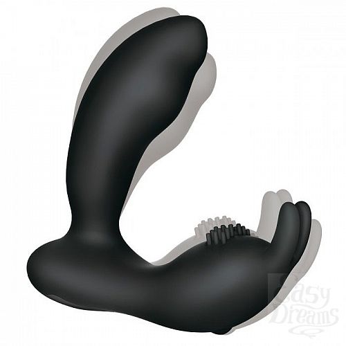  1:  ׸   Prostate Rabbit     