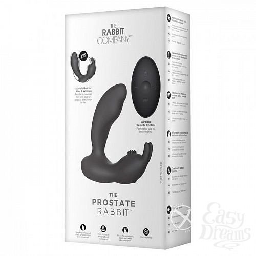  4  ׸   Prostate Rabbit     