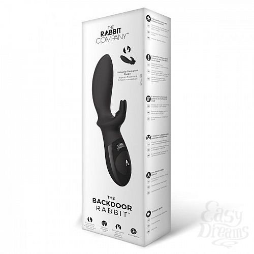  3  ׸     BACKDOOR RABBIT 