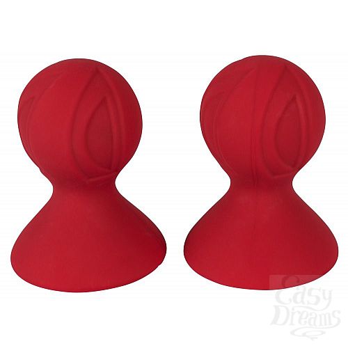  2      Nipple Teaser