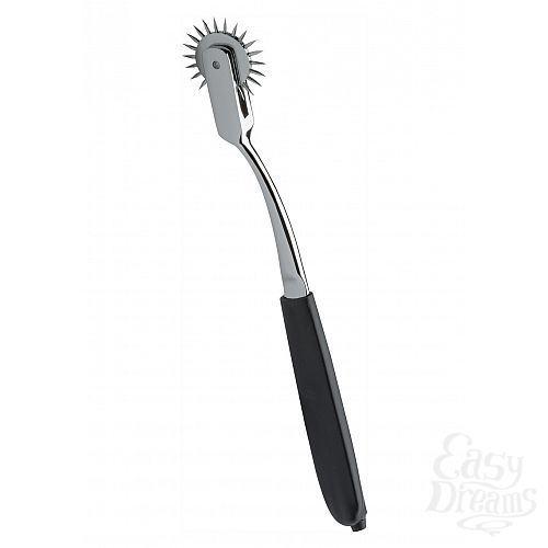  1:    Spiny Spencer Pinwheel, 
