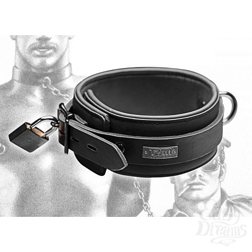  2     - Tom of Finland , 