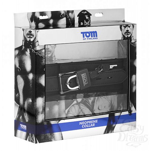  3     - Tom of Finland , 