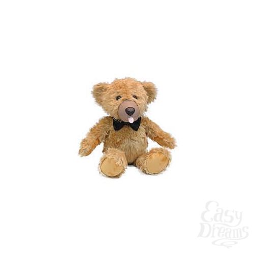  1:       Teddy Love 51  