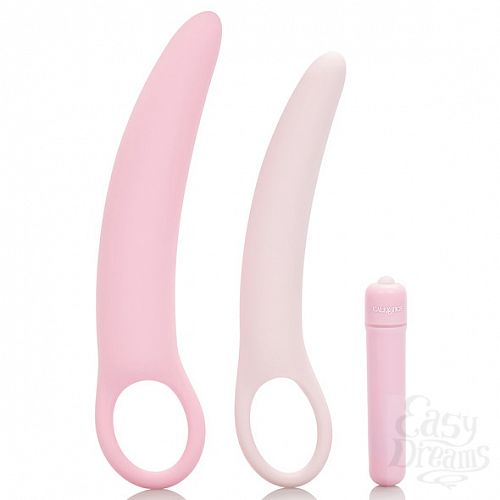  1:    Inspire - Vibrating Dilator Kit, 16,5 . 