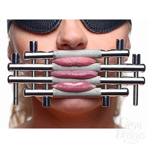  2    Lips and Tongue  - Master Series, 