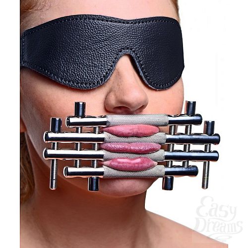  3    Lips and Tongue  - Master Series, 