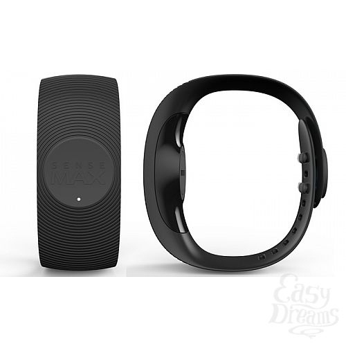 2        SenseMax - Sense Band 