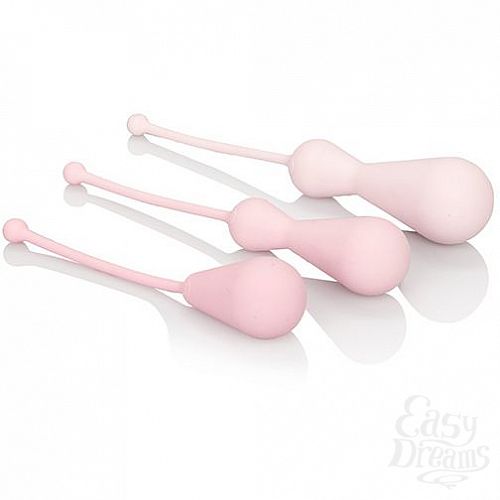  1:   Inspire Weighted Kegel Training Kit, 3.75 . 