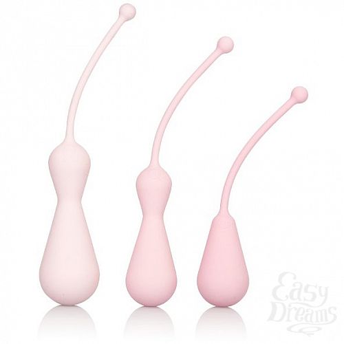  2   Inspire Weighted Kegel Training Kit, 3.75 . 