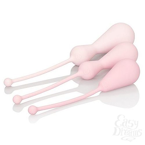  3   Inspire Weighted Kegel Training Kit, 3.75 . 