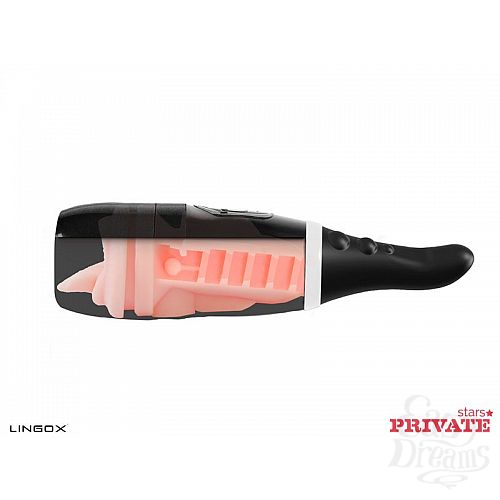  3  - Private Anny Aurora Mouth       