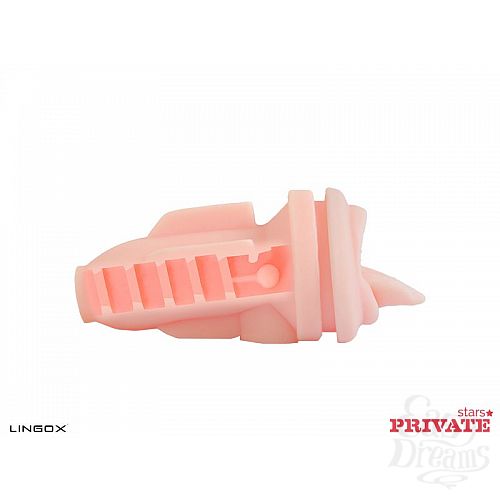  6  - Private Anny Aurora Mouth       
