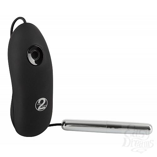  1:     Slim Bullet