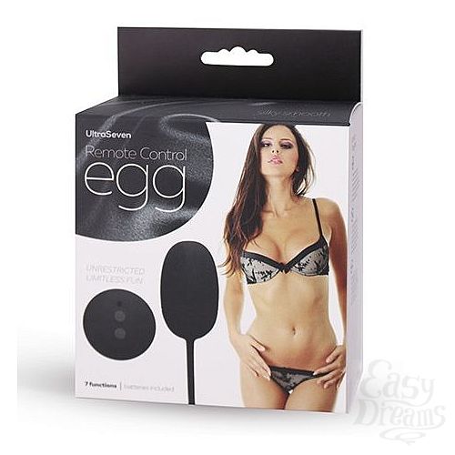  2  ׸    REMOTE CONTROL EGG BLACK