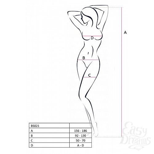  3   -  