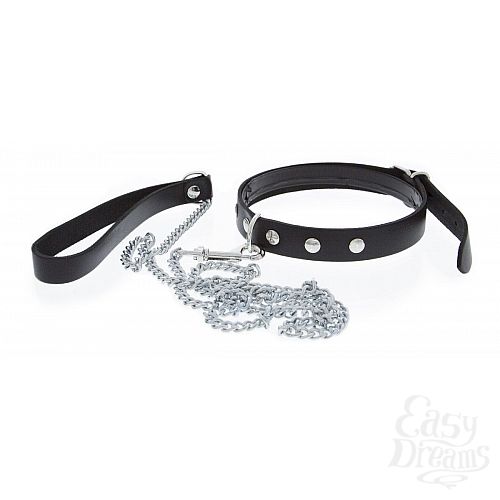  1:  ׸    Collar and Leash
