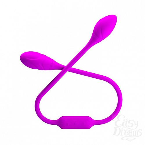  2      Dream Lovers Whip
