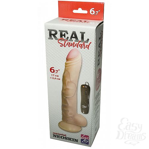  2   REAL Standard   - 17 .