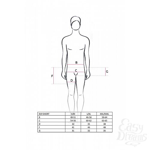  2  - 