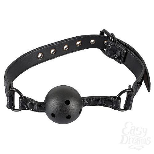  1:  -   Ball Gag