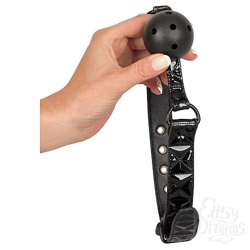  3  -   Ball Gag