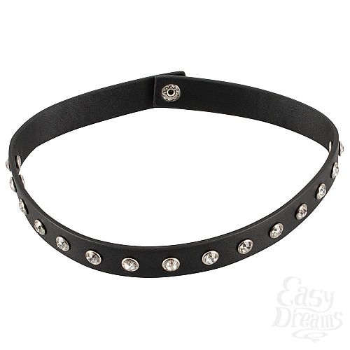  2   Rhinestones  