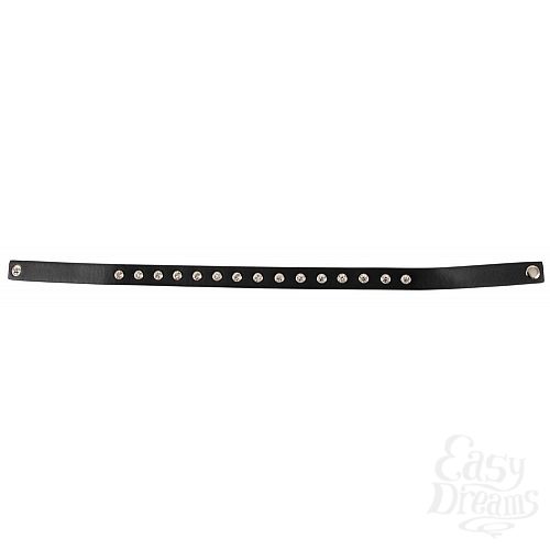  3   Rhinestones  